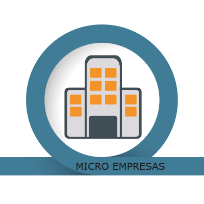Micro Empresas